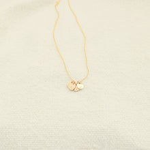 Load image into Gallery viewer, Nora Charm Disc Necklace
