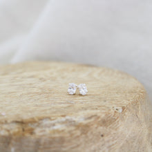 Load image into Gallery viewer, Lottie Studs
