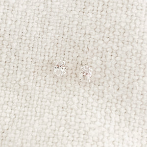 Lottie Studs