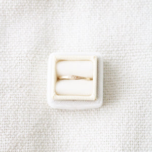 Olive Branch Ring | Gold or Silver