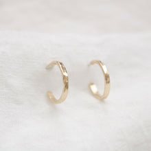 Load image into Gallery viewer, Hayley Hoop Earrings